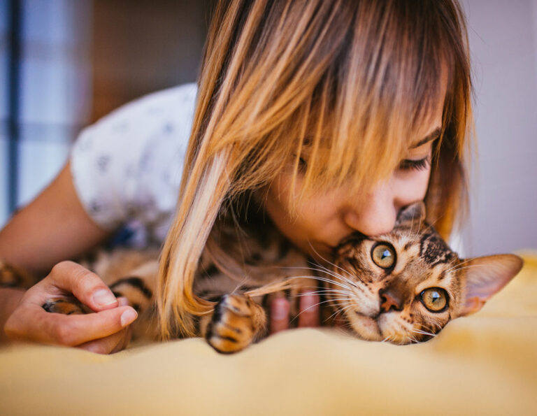 Gato feliz en el arenero Easy Clean con bentonita, demostrando la comodidad y frescura que esta arena para gatos brinda al hogar y a su dueño." Asegúrate de ajustar los detalles según la realidad de la imagen y cualquier característica específica que desees resaltar.