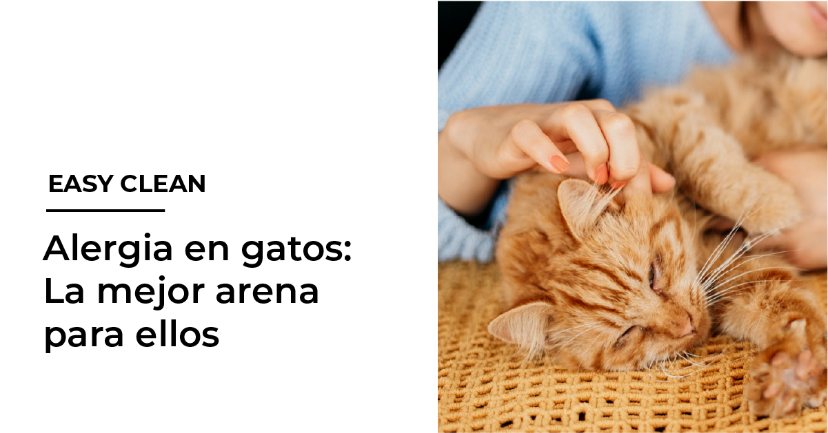Alergia en gatos: Easy Clean La mejor arena para ellos
